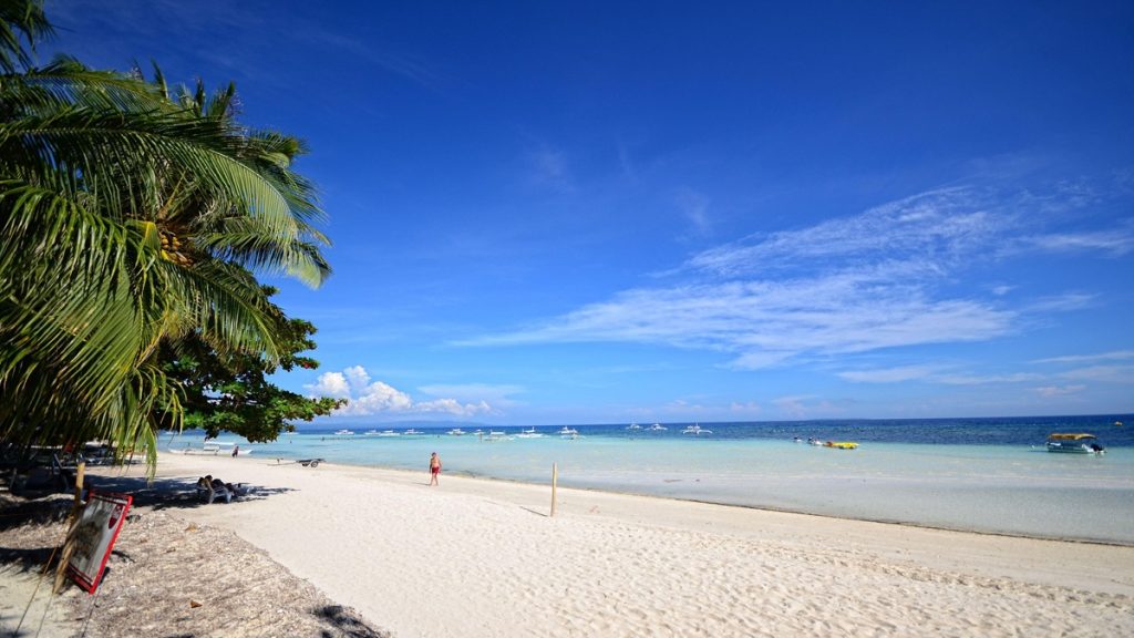 Beachfront view of Dumaluan Beach Resort showing cottages, shoreline, and calm sea