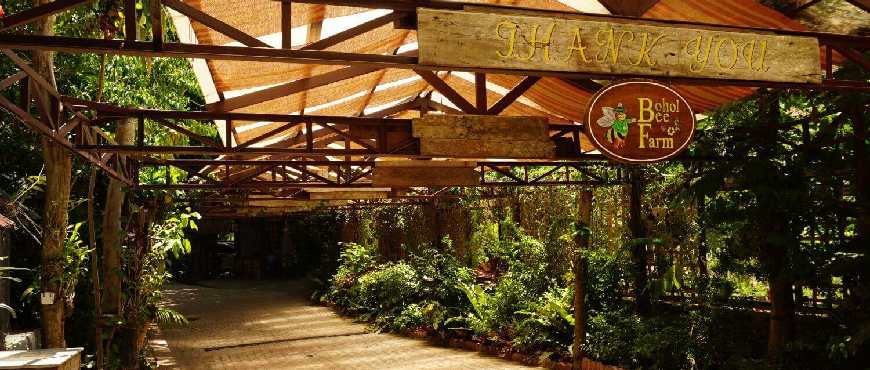 Bohol Bee Farm overlooking the sea, with gardens, cottages, and natural surroundings
