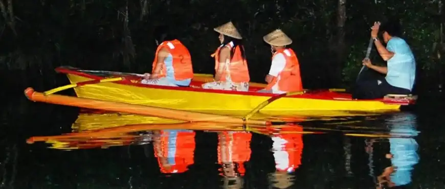 Tourists on a boat watching fireflies illuminate mangrove trees during a nighttime river tour in Bohol