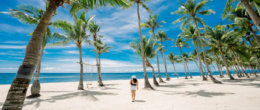 Oceanica Resort Panglao beachfront with white sand, clear blue water, and tropical palm trees